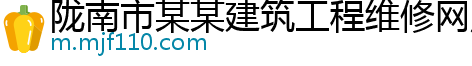 陇南市某某建筑工程维修网点